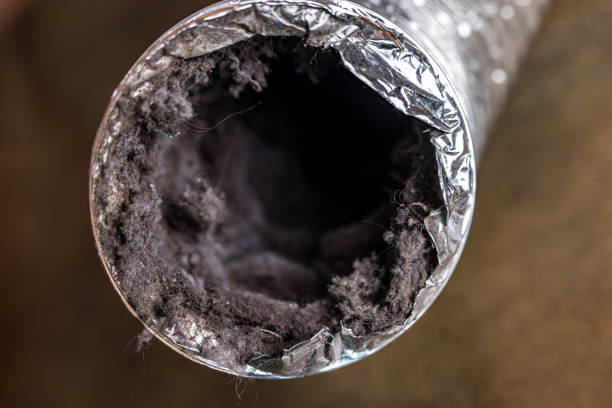 Reliable MN Airduct Cleaning Solutions