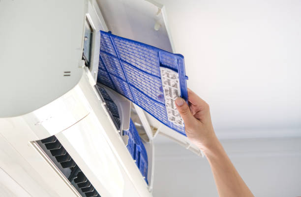 Best Air Vent Cleaning Services  in Breezy Point, MN